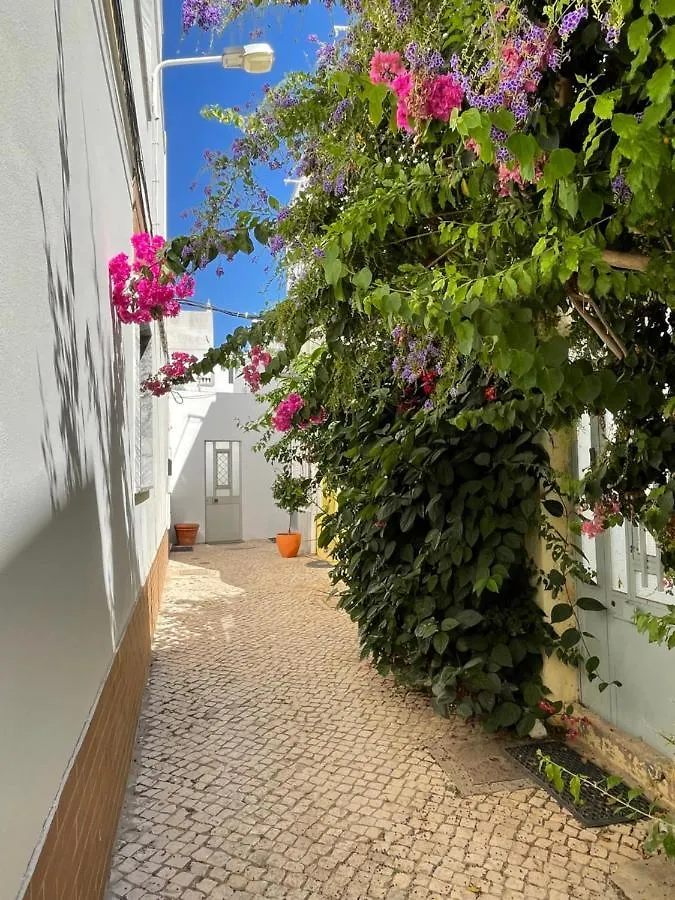 Casa Paixanita - Jacuzzi & Terrace Downtown Olhao Villa Holiday home